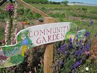 community garden